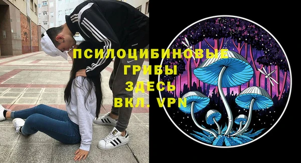 крисы Кукмор