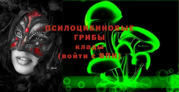 крисы Кукмор