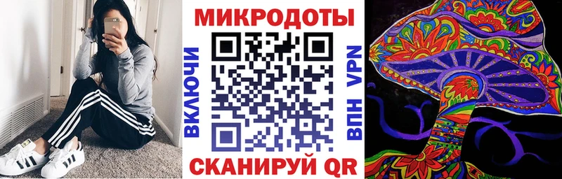 Купить  Шенкурск  Галлюциногенные грибы Magic Shrooms 